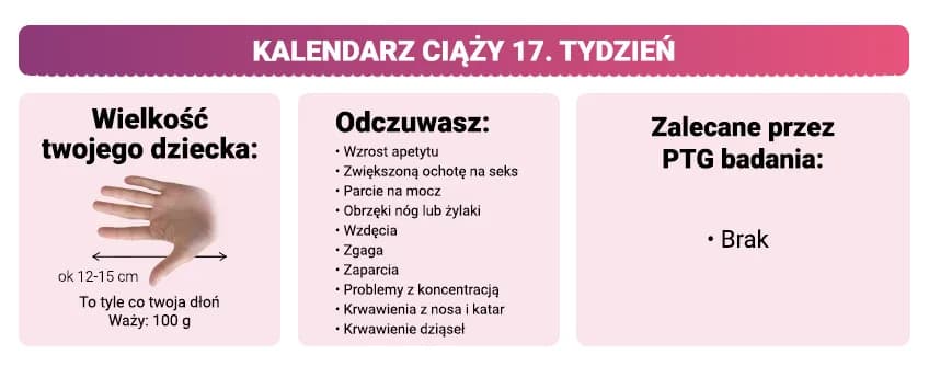 17 tydzień ciąży – jak duża jest wysokość dziecka i co to oznacza