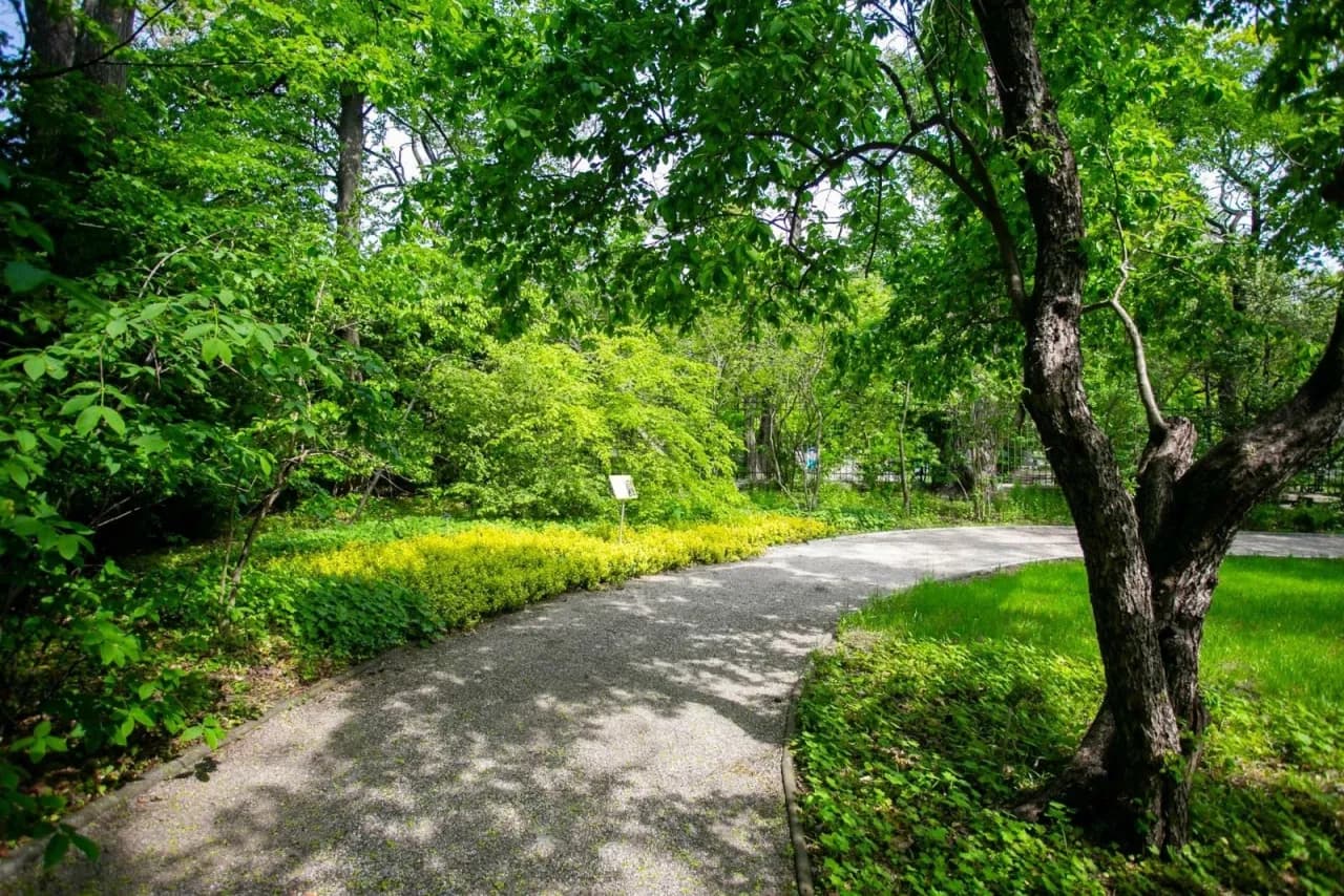 Gdzie na spacer z dzieckiem w Warszawie? Odkryj najlepsze miejsca